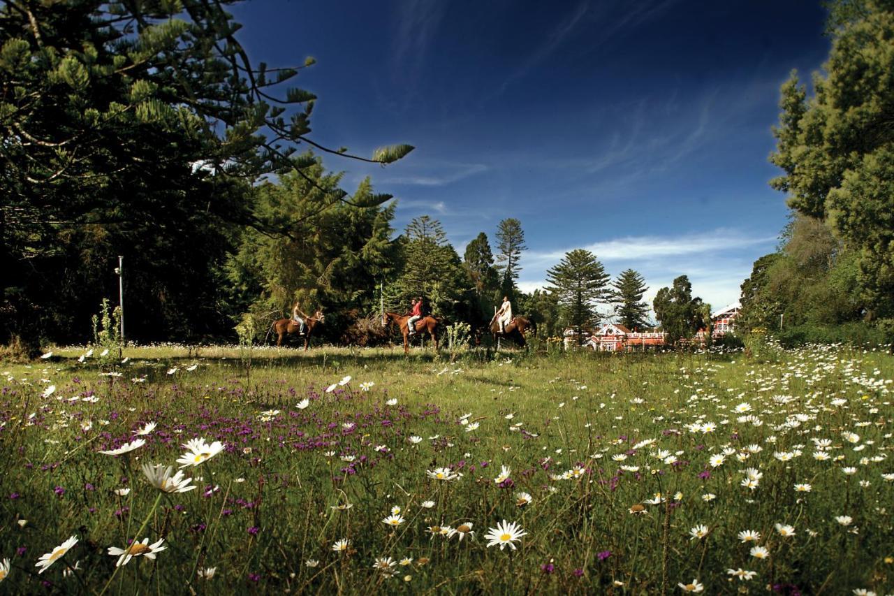 Welcomheritage Fernhills Royal Palace Ooty Eksteriør bilde